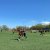 img-20260423-wa0047