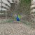 img-20260520-wa0078