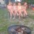 img-20260618-wa0003